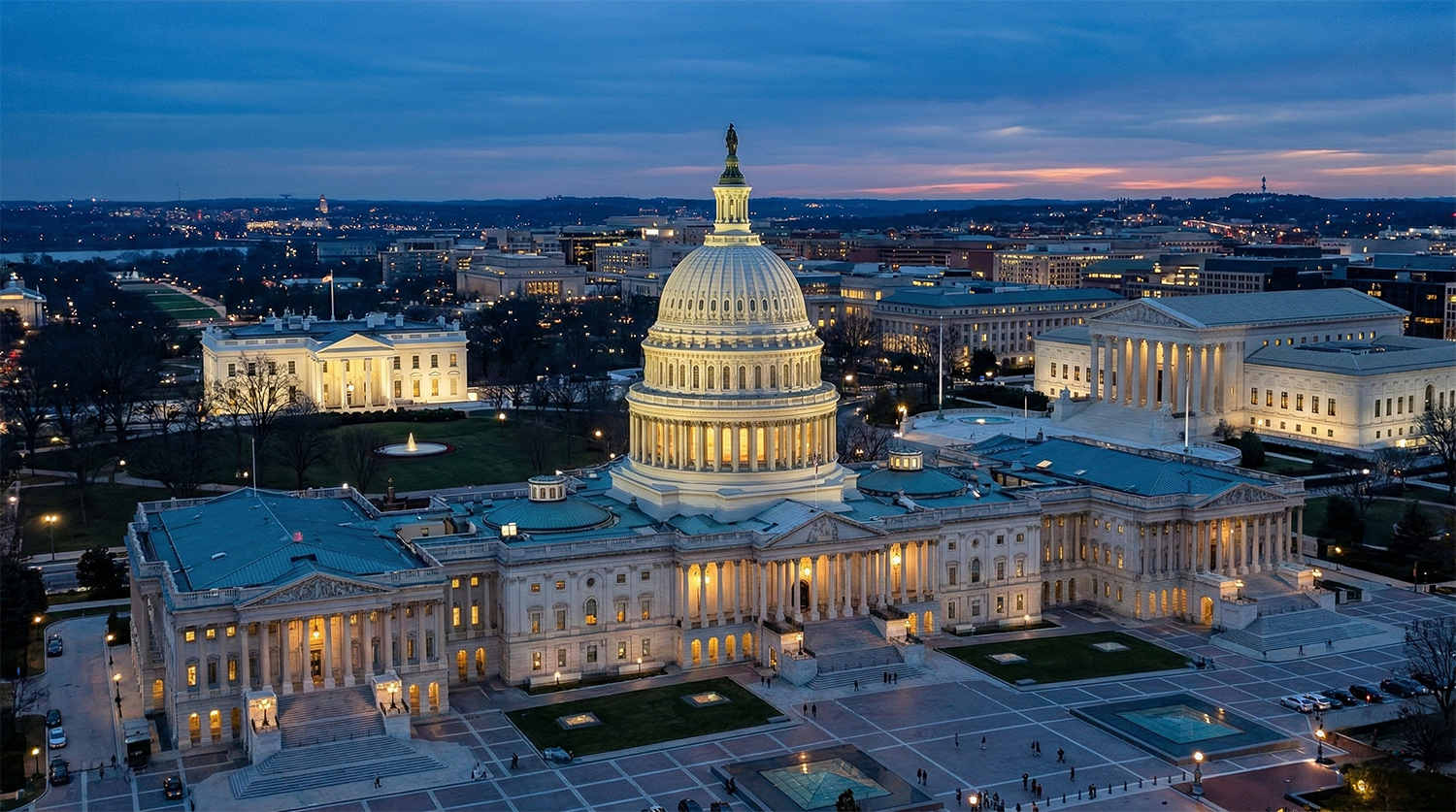 The Three Branches of Government: Checks and Balances Demystified